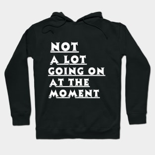 Not a lot going on at the moment Hoodie